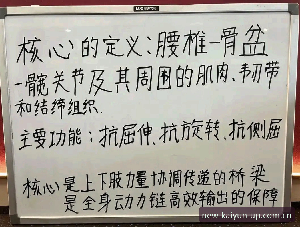 资深用户深度体验：kaiyun体育平台创新功能与实战心得
